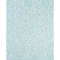 Edith Aqua Water Resistant Large 8x10 Indoor Outdoor Rug | Outdoor Rugs for Patios, Deck, Porch, Entry, Entryway | Outside Area Rug | Outdoor Patio Rug