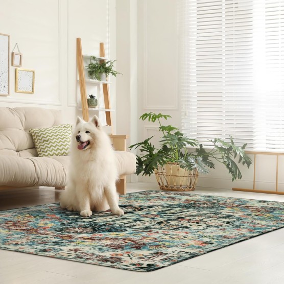 Area Rugs 6x9, Washable Area Rugs for Living Room Non Slip Bedroom Dining Room Rug, Large Bohemian Soft Stain Resistant Indoor Floor Carpet for Apartment Nursery Kids Room, Teal