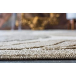 Outdoor Botanical Collection Area Rug - Augusta (7' 1" x 10' Rectangle, Beige/ Ivory)