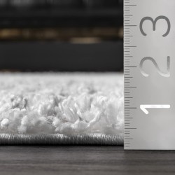 Bria Moroccan Shag Tasseled Area Rug - 8x10 Shag Area Rug Modern/Contemporary White/Ivory Rugs for Living Room Bedroom Dining Room Nursery
