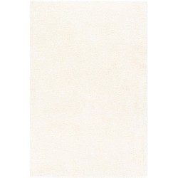 Area Rugs, 5x7 Vere Modern Shag White Area Rug, White Carpet for Living Room, Bedroom or Kitchen (5'3" x 7'3")