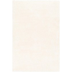 Area Rugs, 5x7 Vere Modern Shag White Area Rug, White Carpet for Living Room, Bedroom or Kitchen (5'3" x 7'3")