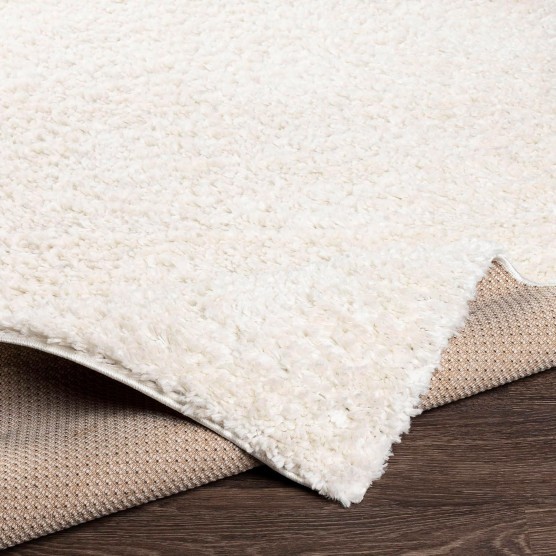 Area Rugs, 5x7 Vere Modern Shag White Area Rug, White Carpet for Living Room, Bedroom or Kitchen (5'3" x 7'3")