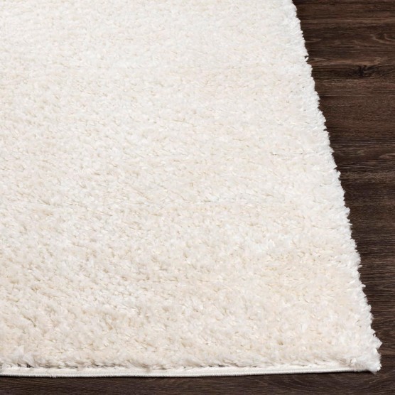 Area Rugs, 5x7 Vere Modern Shag White Area Rug, White Carpet for Living Room, Bedroom or Kitchen (5'3" x 7'3")