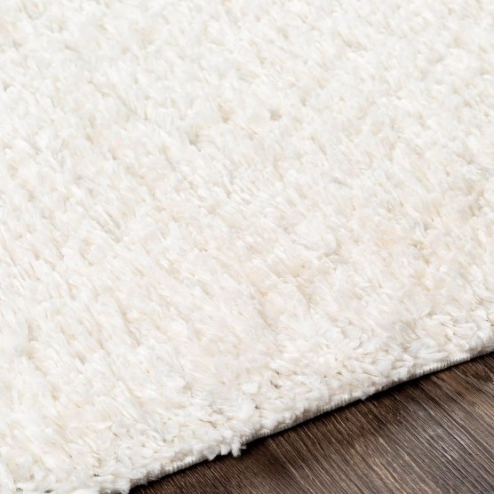 Area Rugs, 5x7 Vere Modern Shag White Area Rug, White Carpet for Living Room, Bedroom or Kitchen (5'3" x 7'3")